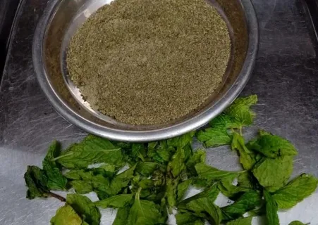 تصویر 3 از نعنا خشک گلستان با فرآوری بهداشتی و بوی ماندگار